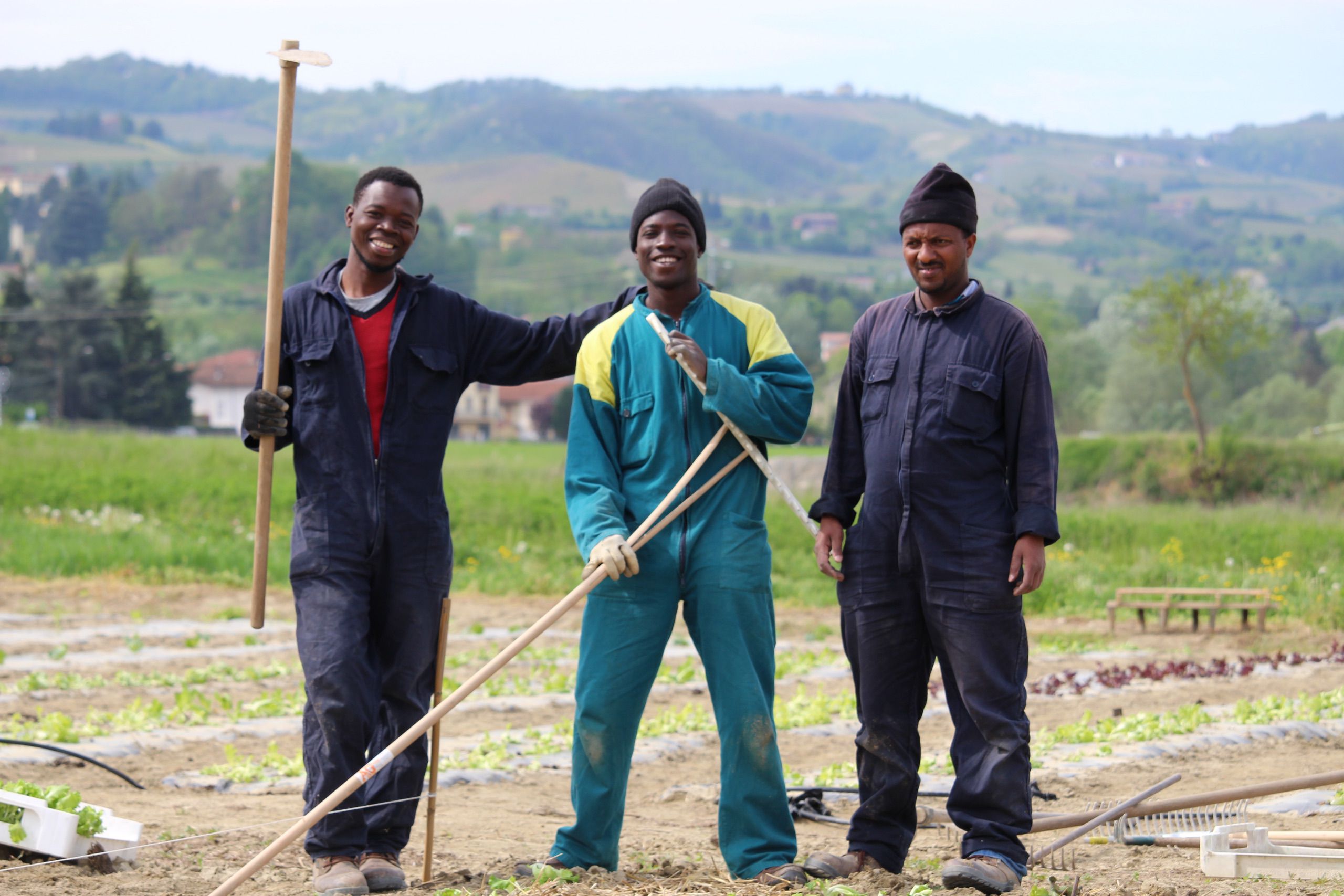 Ragazzi migranti mentre svolgono un lavoro agricolo